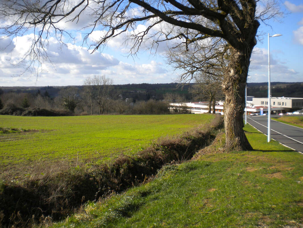 Terrain à CONFOLENS