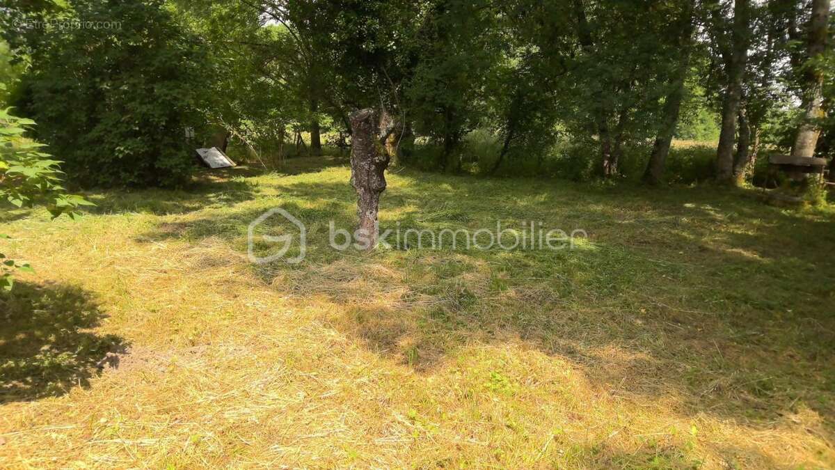 Maison à CHARENTON-DU-CHER