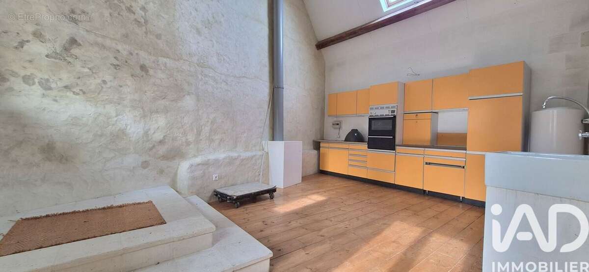 Maison 702 m² à Chambors  - photo 7