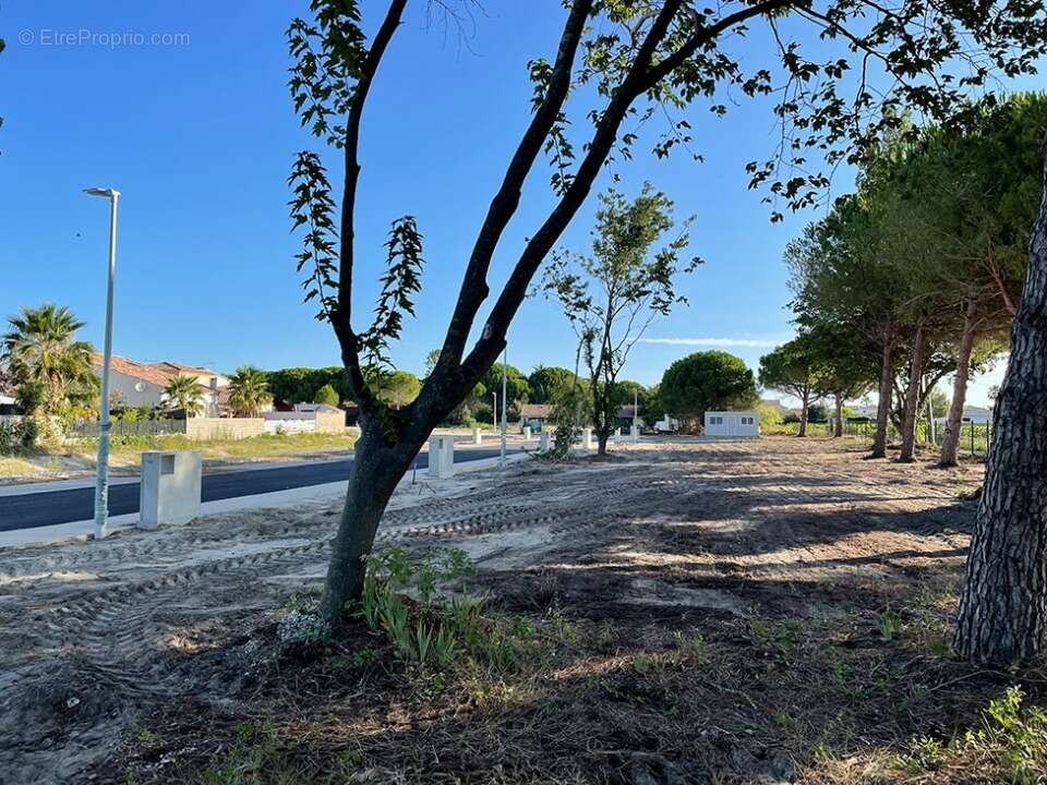 Terrain 304 m² à Aigues-Mortes  - photo 4