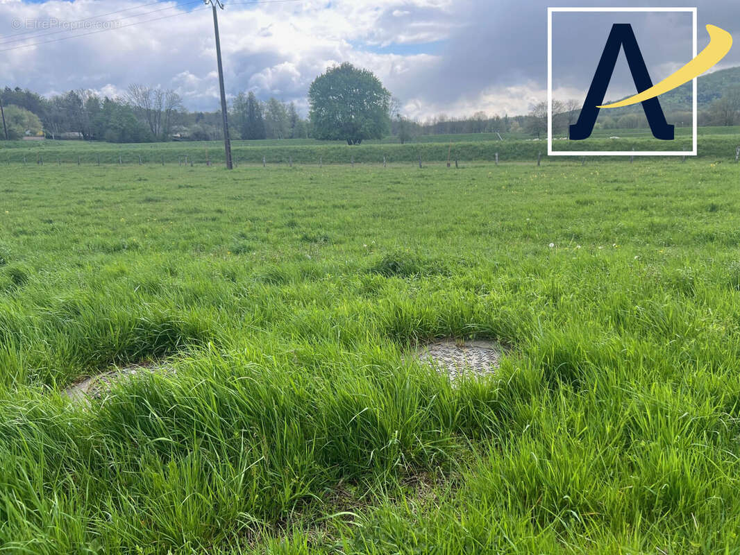 Terrain à SERMAMAGNY