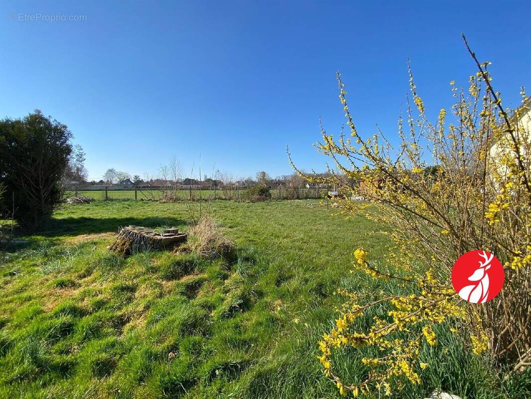 Terrain à CHAILLY-EN-BIERE