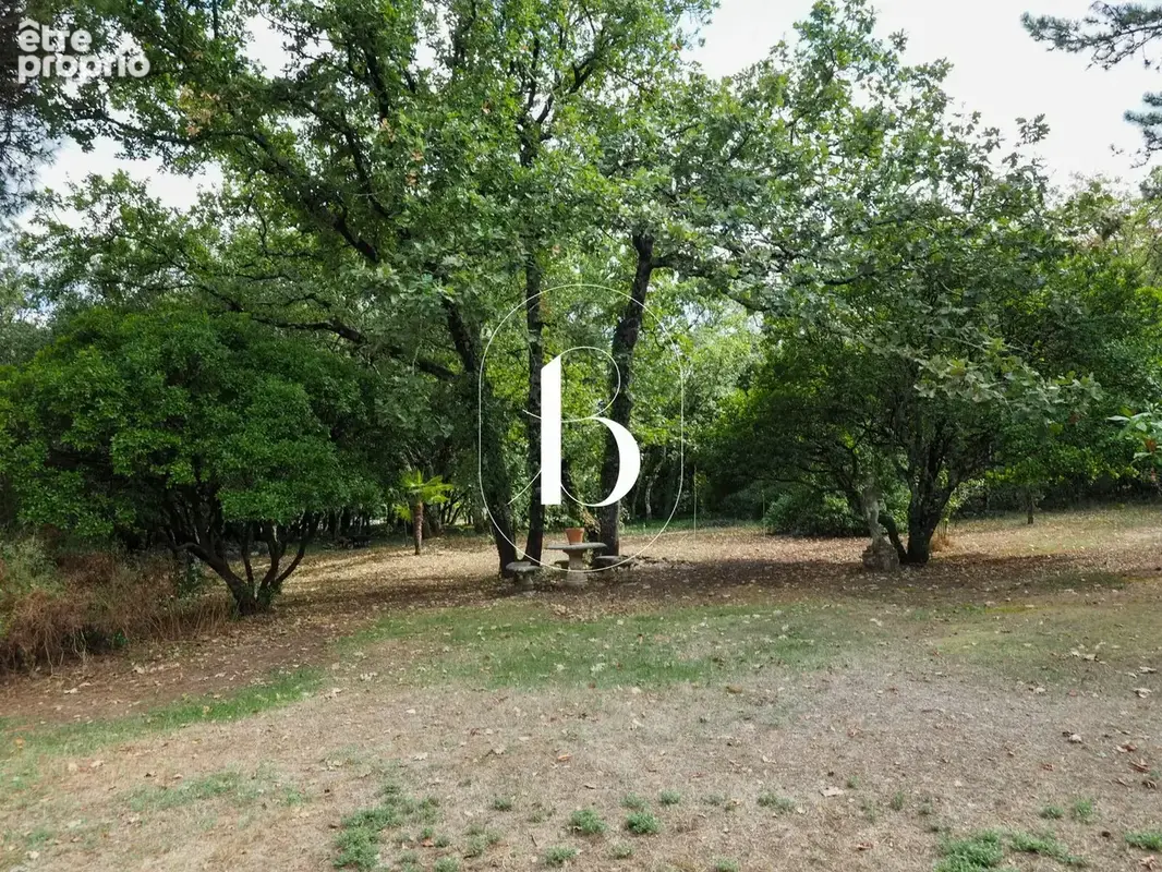 Méjannes-le-Clap  Propriété sur 9 000 m² de terrain arboré avec piscine - photo 24