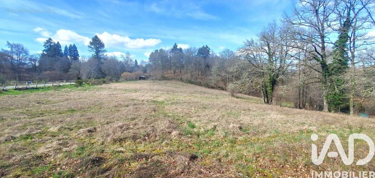 Photo 5 - Terrain à MOUSTIER-VENTADOUR