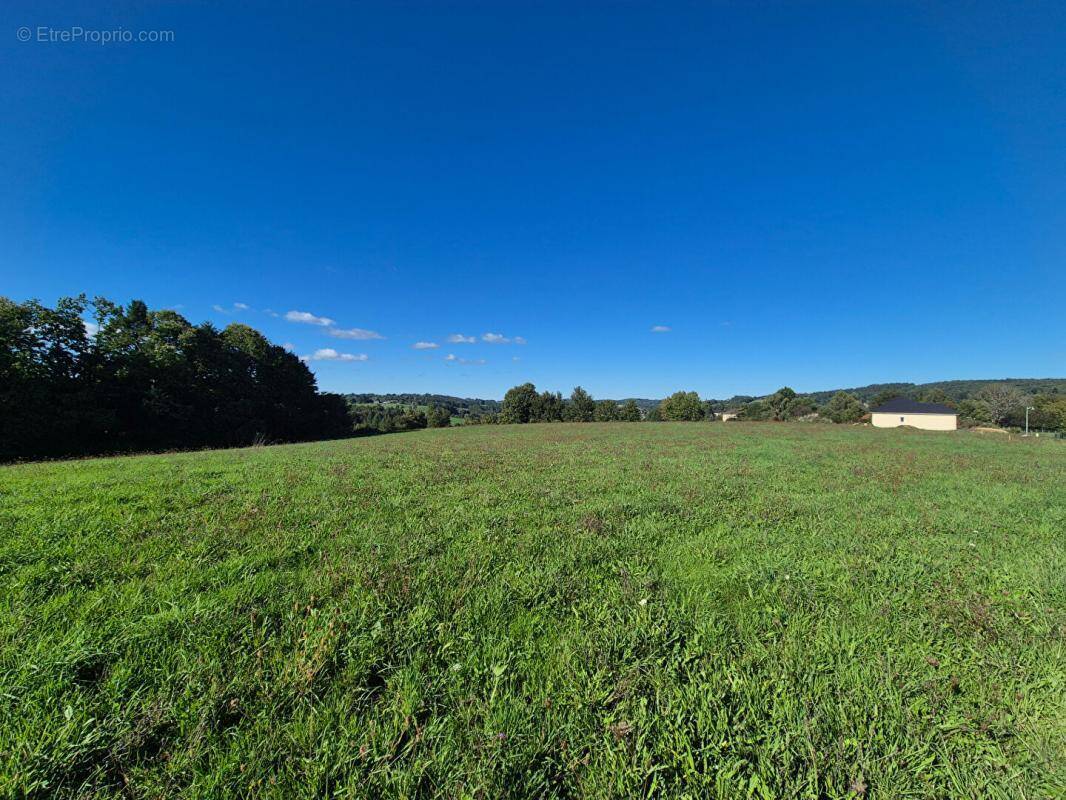 Terrain à SAINT-HILAIRE-PEYROUX