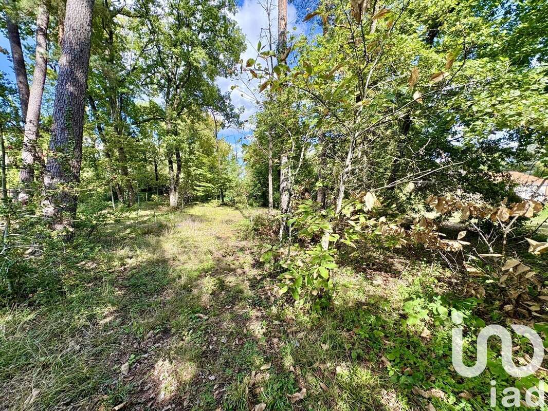 Photo 4 - Terrain à MARSAC-SUR-L'ISLE