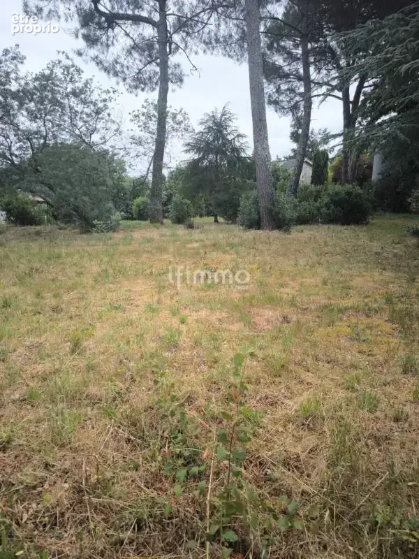 Terrain de 1 111 m2 en seconde ligne centre ville - photo 2