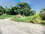 Photo 1 - Terrain à LE MORNE-ROUGE