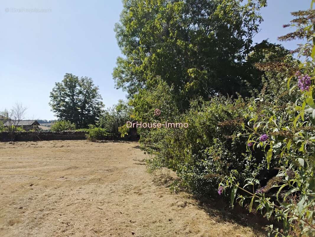 Terrain 1340 m² à Villefranche-De-Rouergue  - photo 14