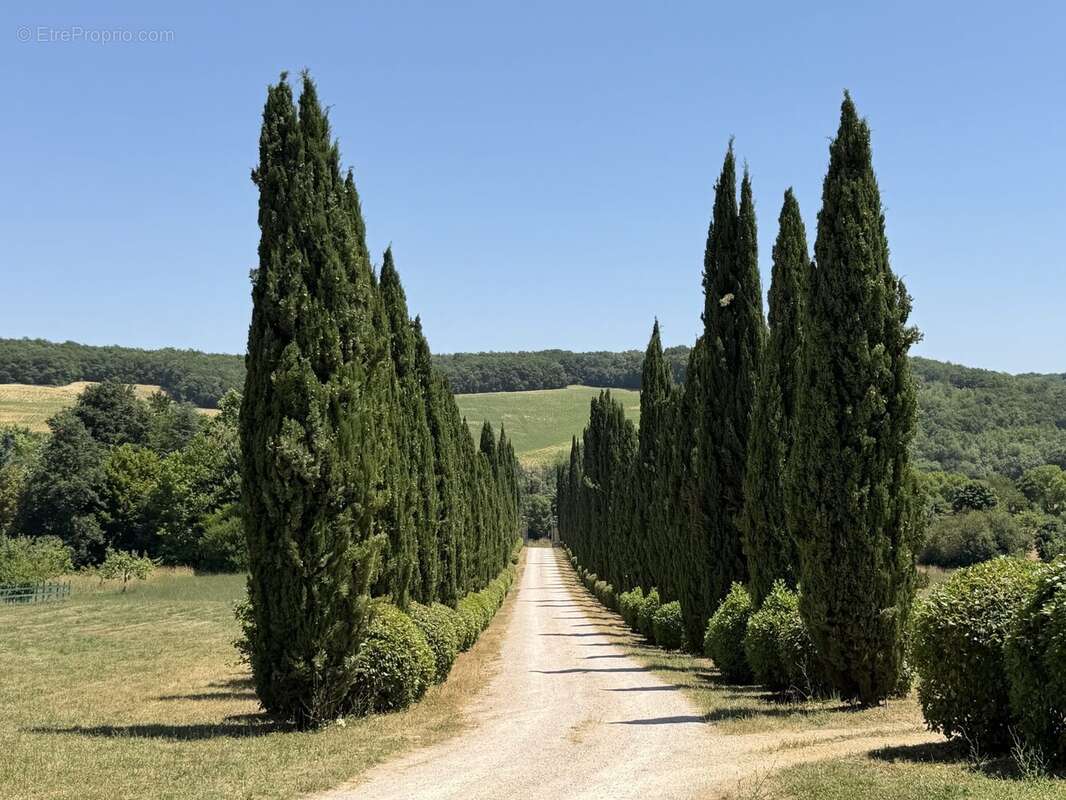 Maison à CASTERA-VERDUZAN