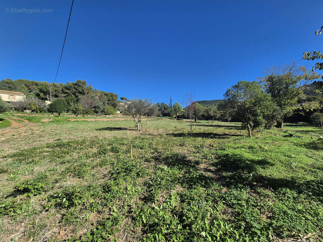 Terrain à LE PRADET