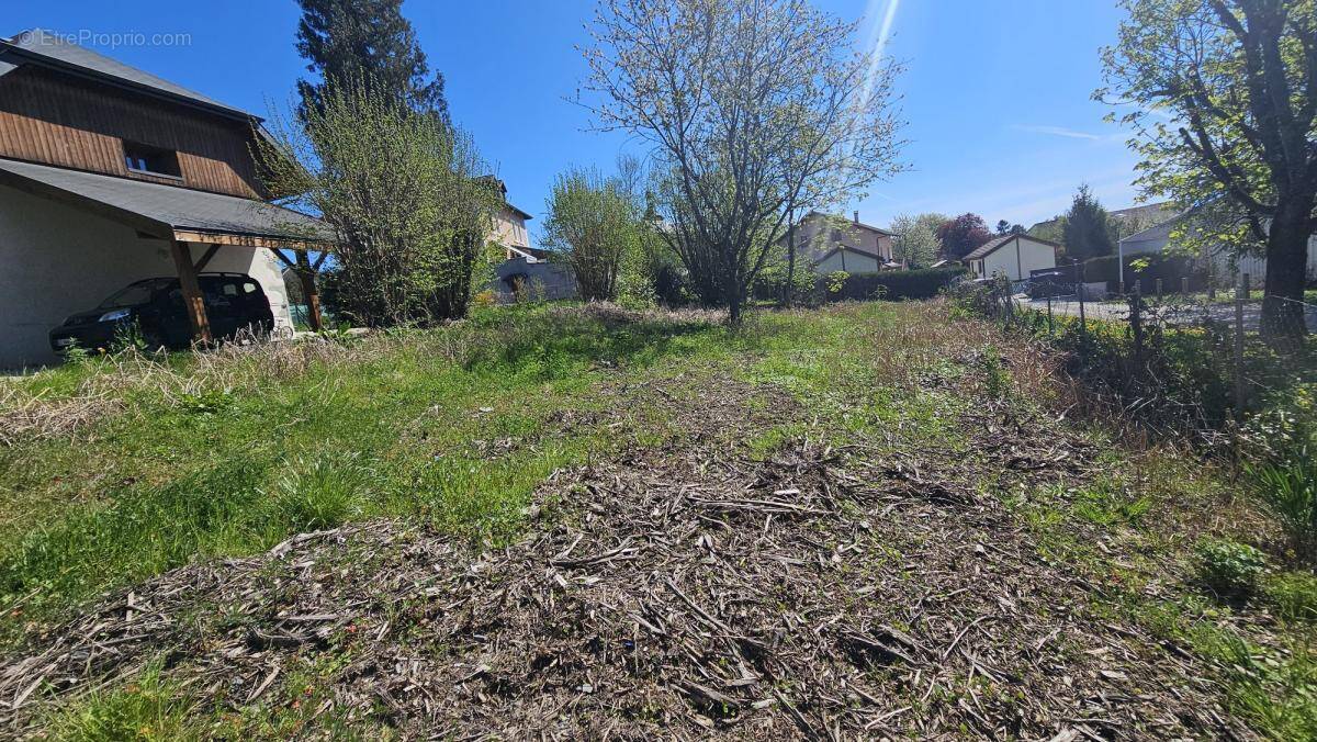 Terrain à SAINT-FELIX