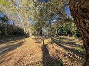 Photo 1 - Terrain à UZES