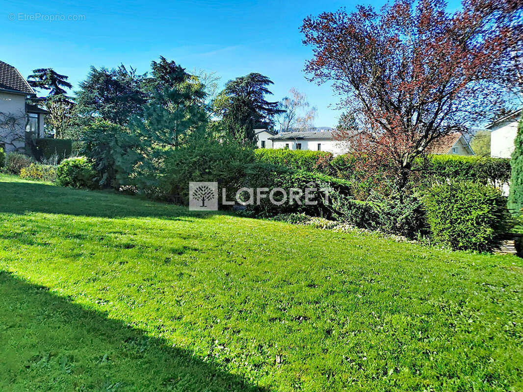 Terrain à NEUVILLE-SUR-SAONE