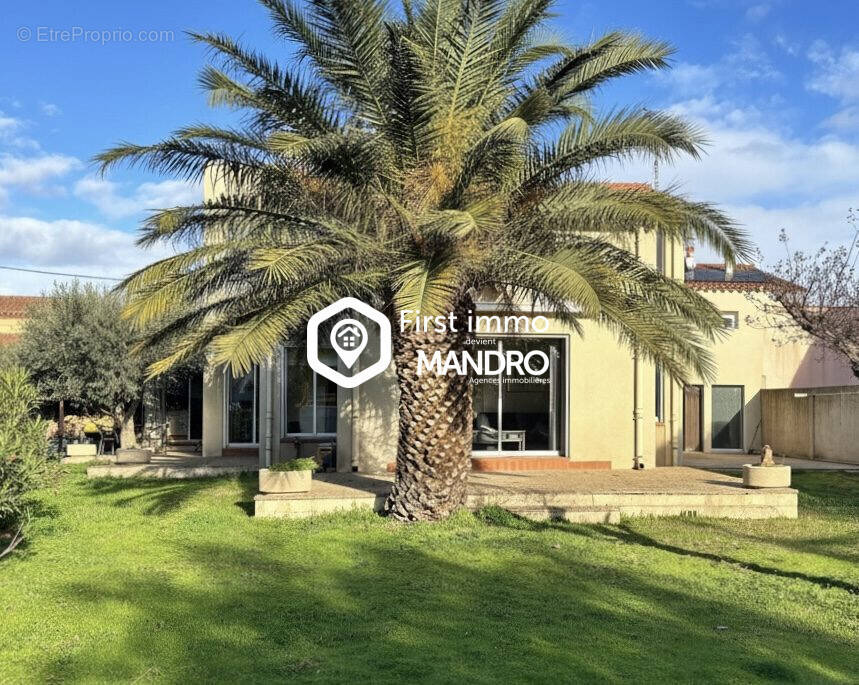 Maison à ILLE-SUR-TET