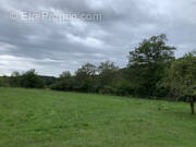 Terrain à PLANCHER-BAS