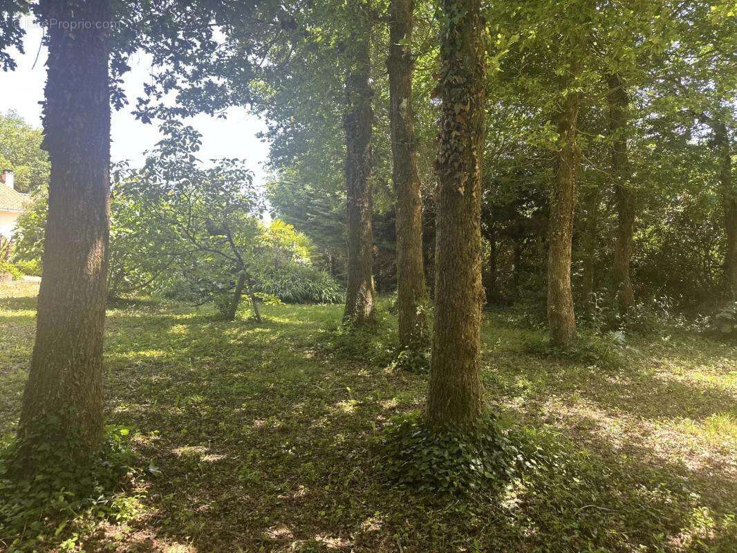 À vendre : Maison de plain-pied avec piscine et grand terrain paysagé au Cellier - photo 12