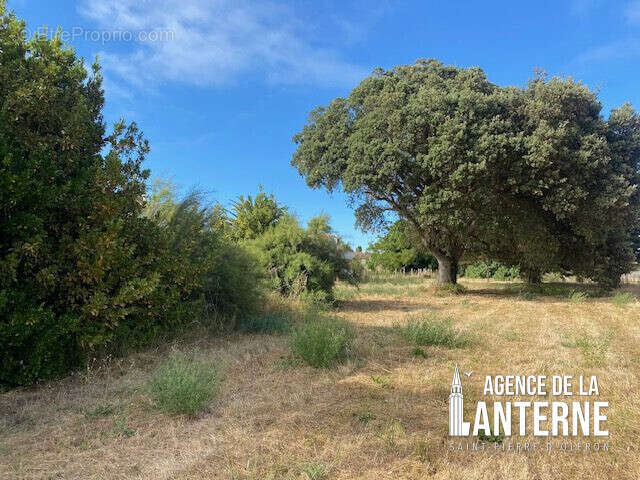 Terrain à SAINT-PIERRE-D'OLERON
