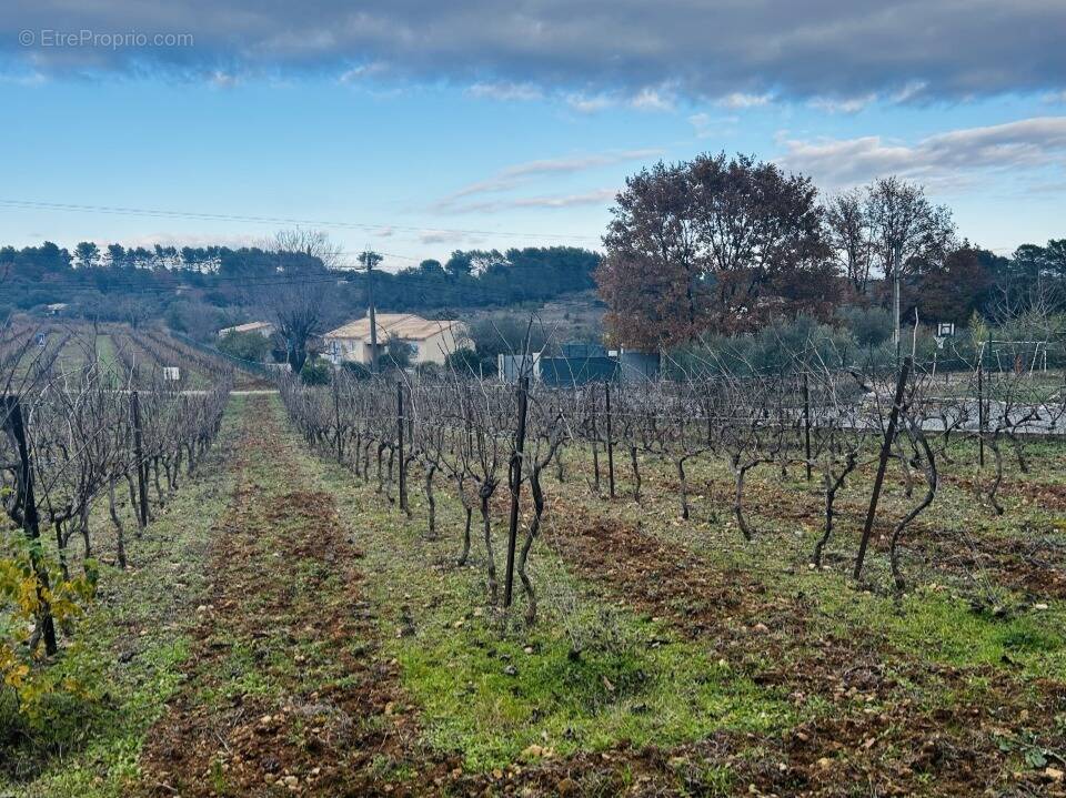 Terrain à LORGUES