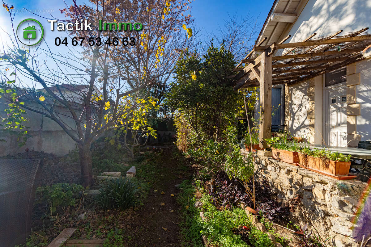 Maison à FRONTIGNAN