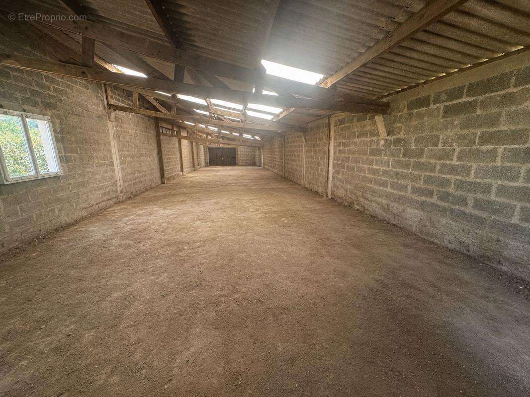 Maison 284 m² à Martigne-Ferchaud  - photo 2