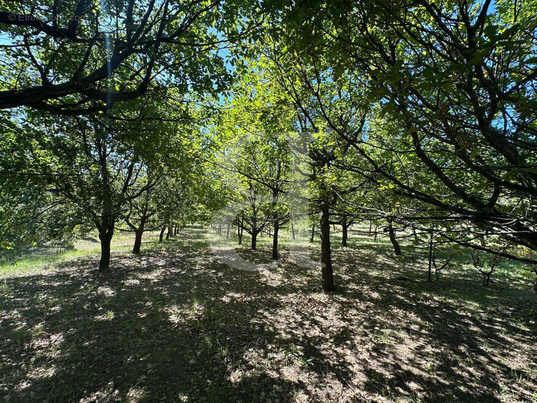 Maison à VAISON-LA-ROMAINE