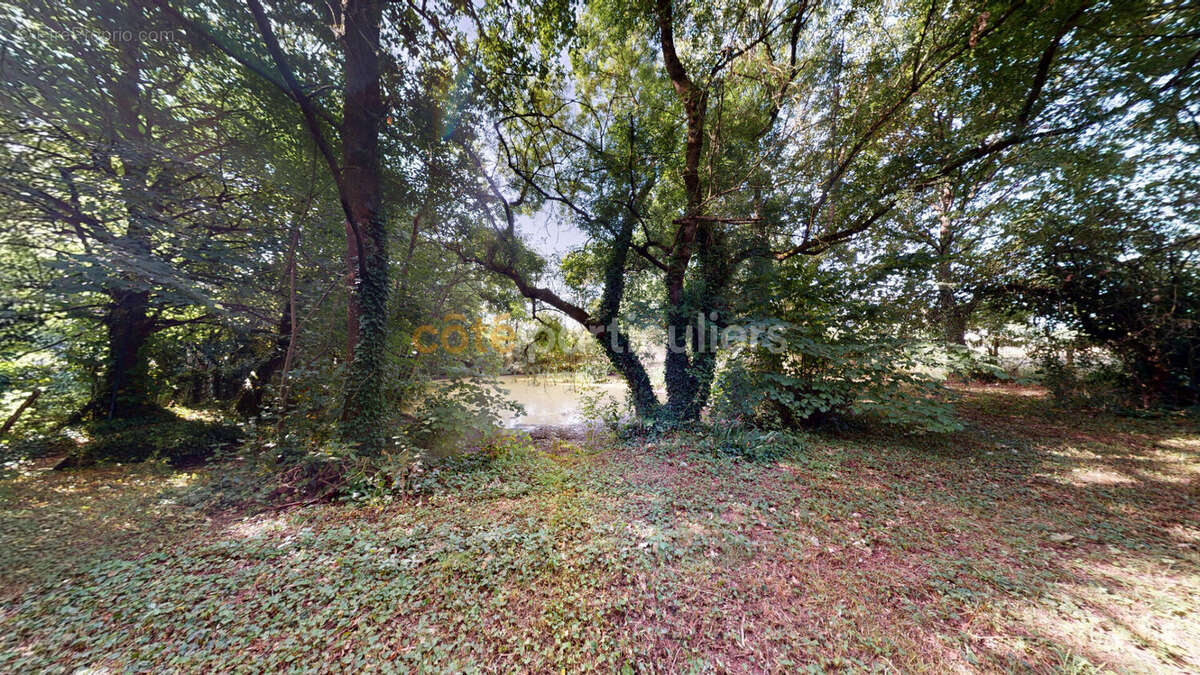 Maison de maître de caractère avec étang, dépendance et parc de 2 300 m² ? Bourg Joué-sur-Erdre - photo 3