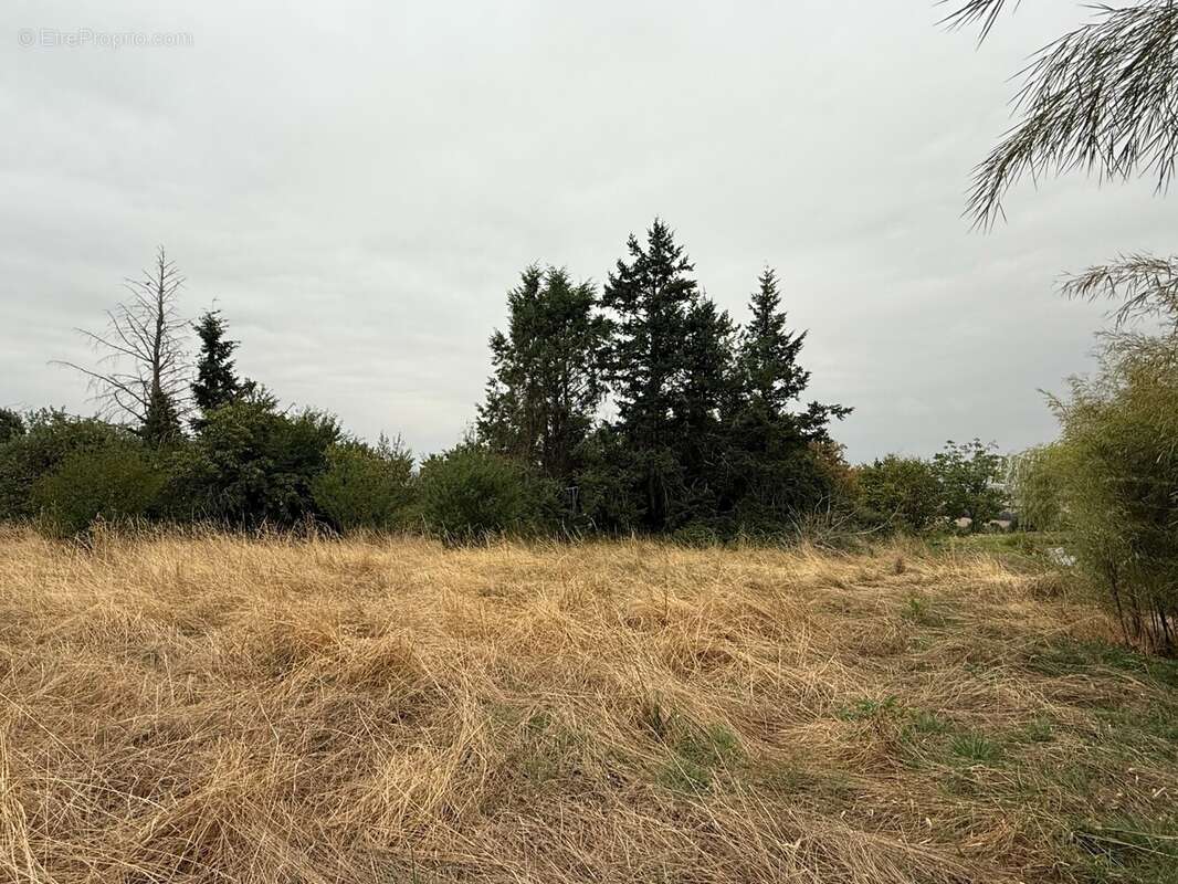 Terrain 3400 m² à Verneuil-Sur-Igneraie  - photo 3