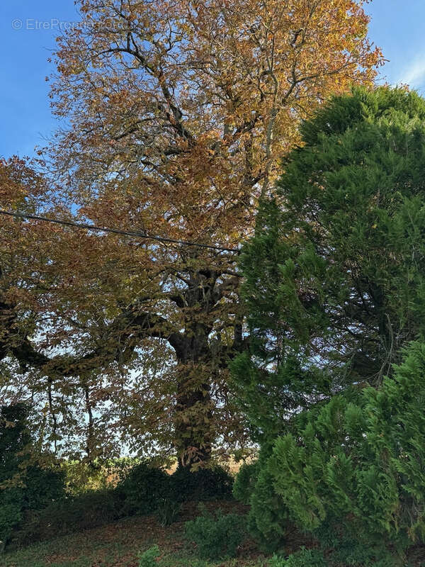 Maison à LA CHAPELLE-THEMER