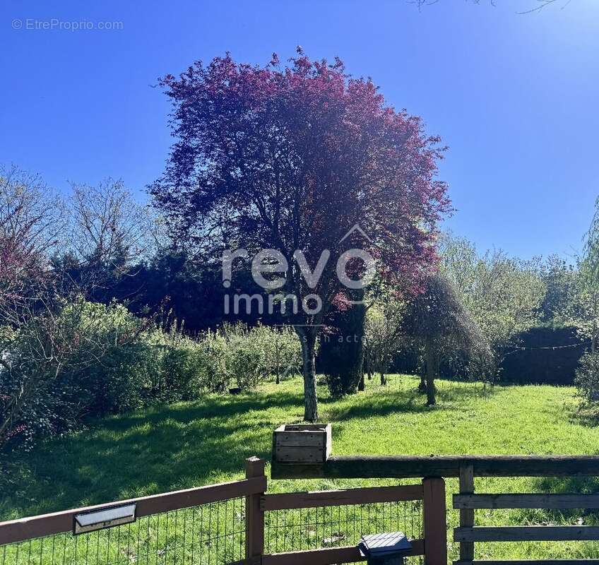 Maison à MONTREUIL-JUIGNE