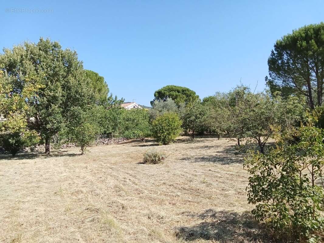 Terrain à SAINT-HIPPOLYTE-DU-FORT