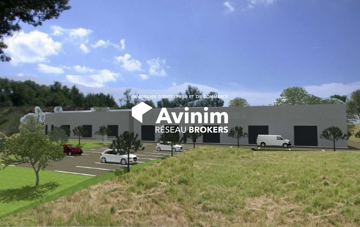 Commerce à MONTAUROUX