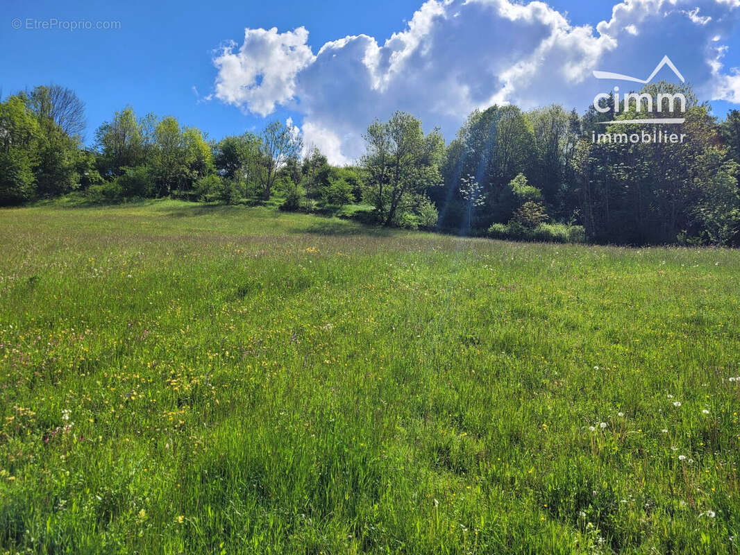 Terrain 2539 m² à La Chapelle-En-Vercors  - photo 2