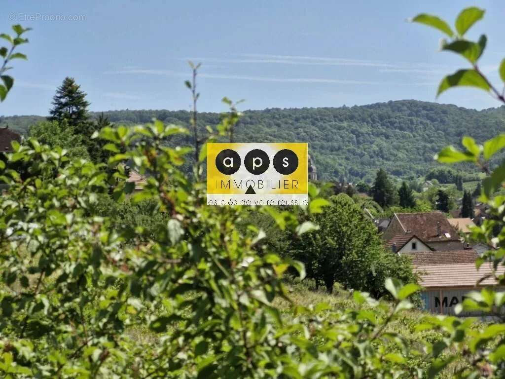 Terrain à ARBOIS