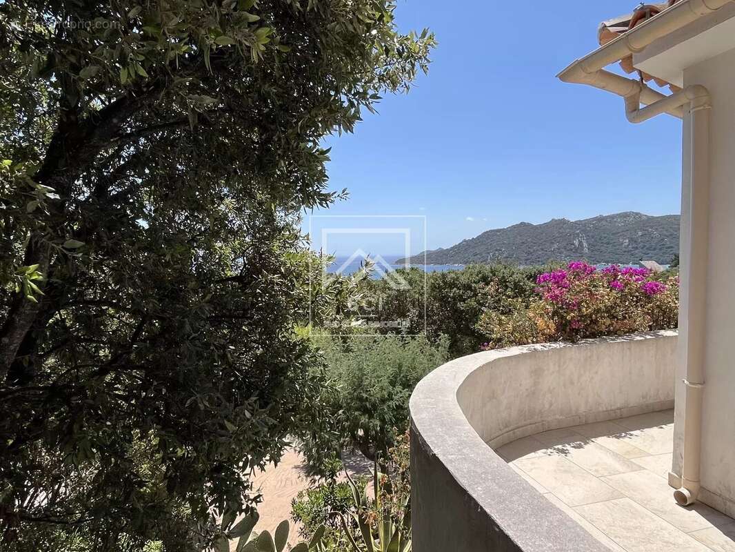 Maison à PORTO-VECCHIO