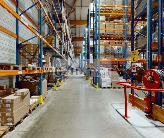 Commerce à COLLEGIEN