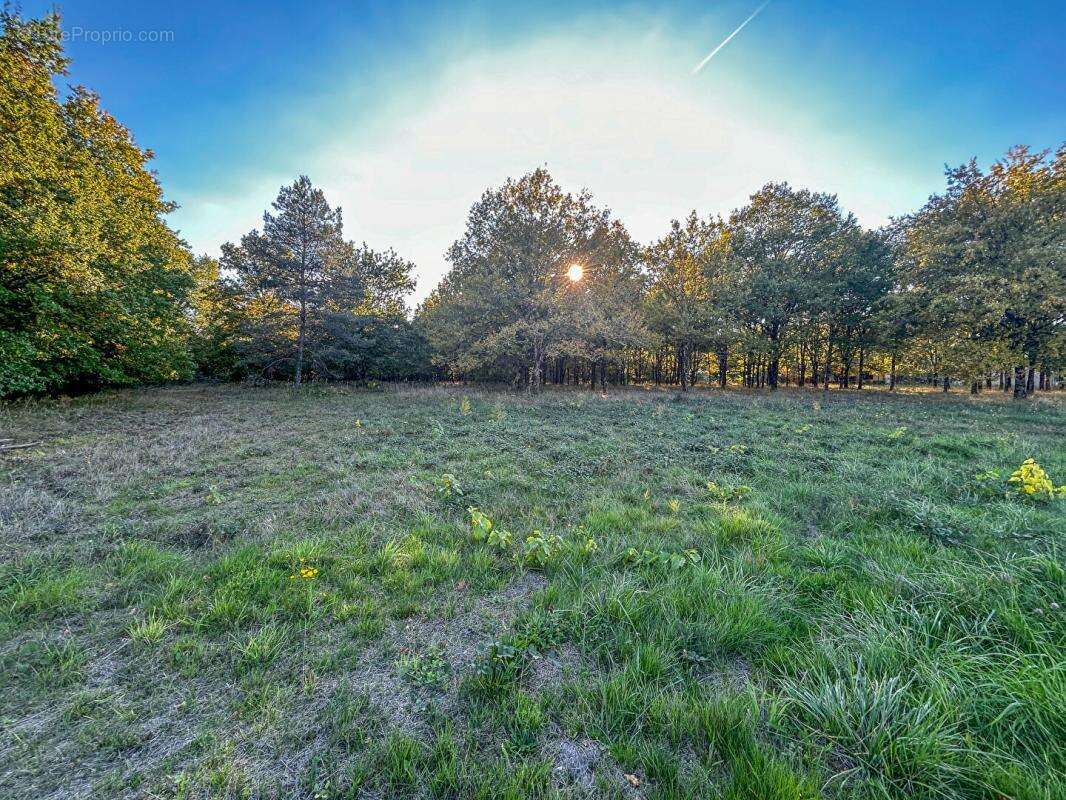 Terrain à LANGON