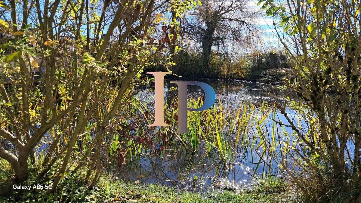 Maison à PARAY-LE-MONIAL