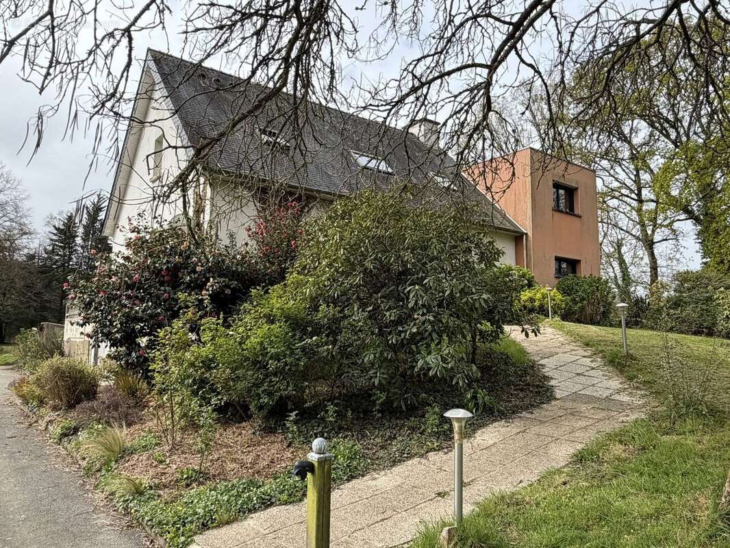 IMG2168 - Maison à SAINT-MEDARD-SUR-ILLE