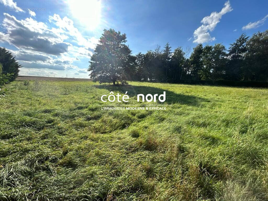Terrain à CAUDRY