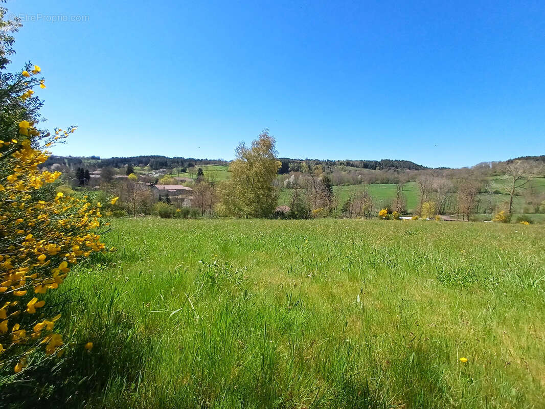 Terrain à CRAPONNE-SUR-ARZON