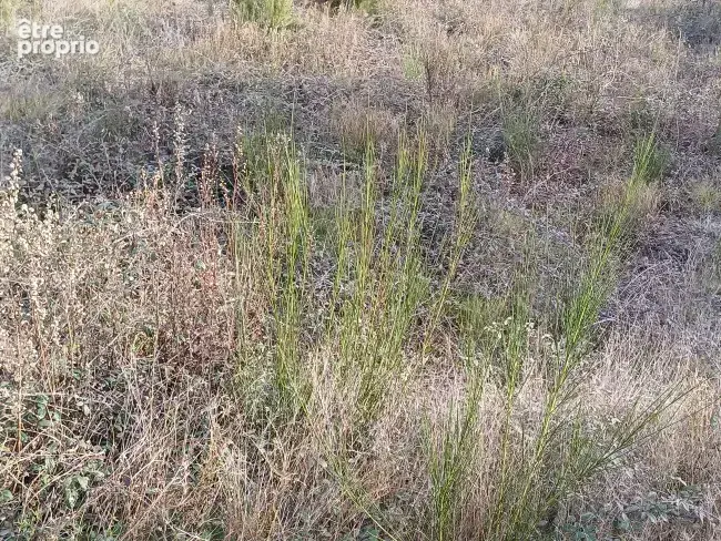 Terrain à PERPIGNAN