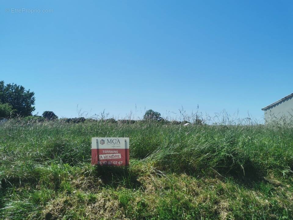 Terrain à SAINT-PIERRE-DE-MONS