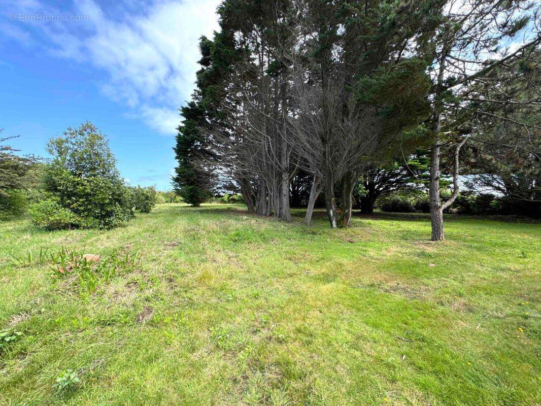 Maison à L'ILE-D'YEU