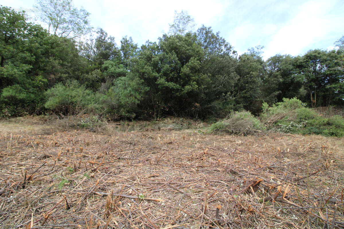 Terrain à LES PLANTIERS