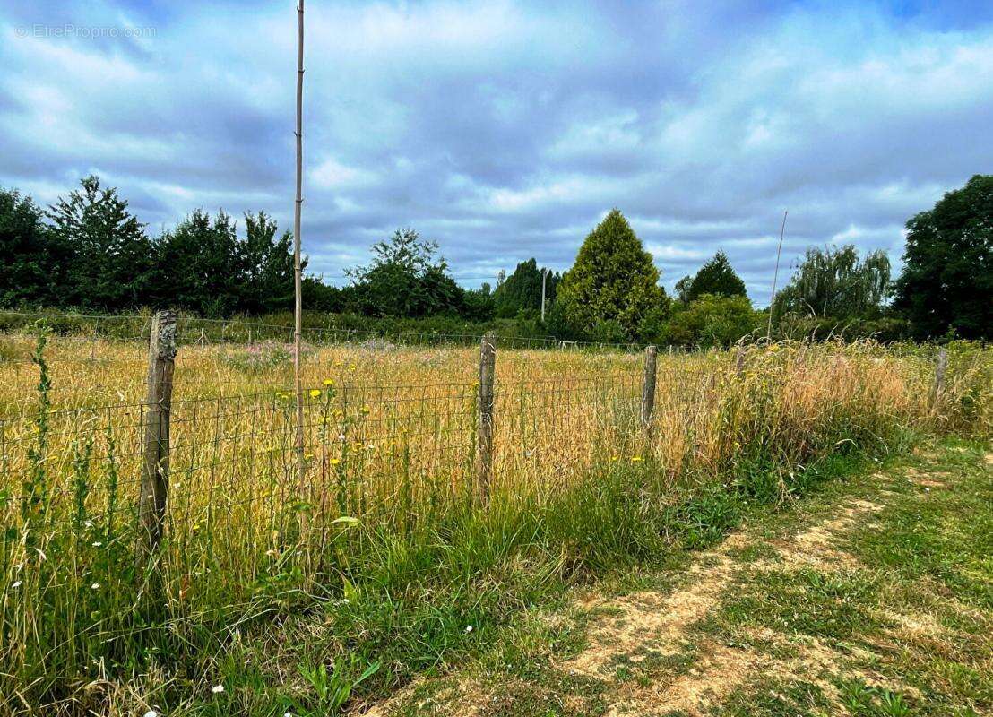 Maison à SAINT-GILLES