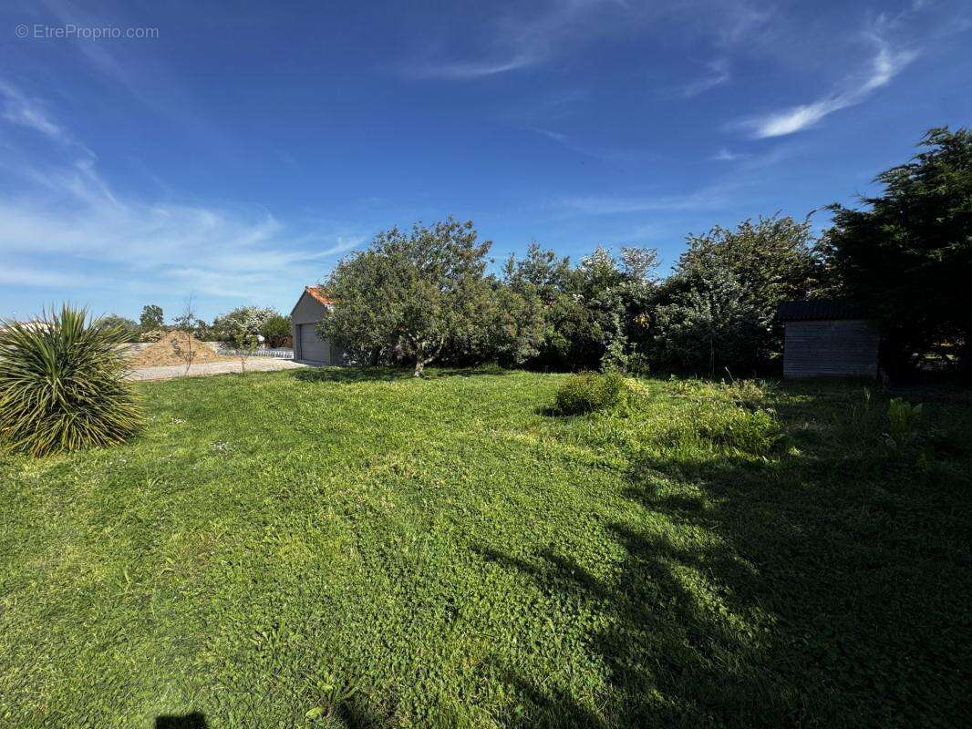 Terrain à L'ILE-D'OLONNE