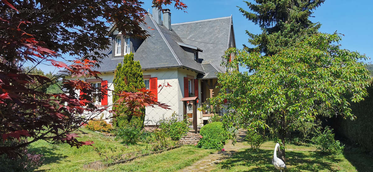 Colroy-La-Roche, maison de caractère des années 1930 sur un terrain de 26 ares - photo 3