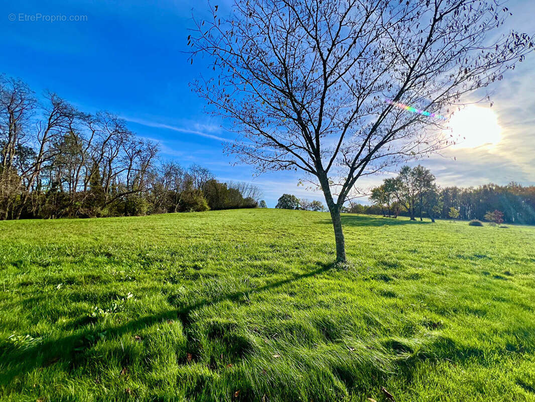 Secteur Villeneuve-sur-Lot, à la campagne mais non isolé, venez découvrir cette charmante maison en pierre de 77,84 m² habitable - photo 2