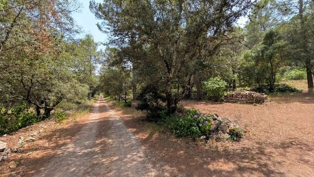 CARCES Propriété sur 7.5 hectares - photo 18
